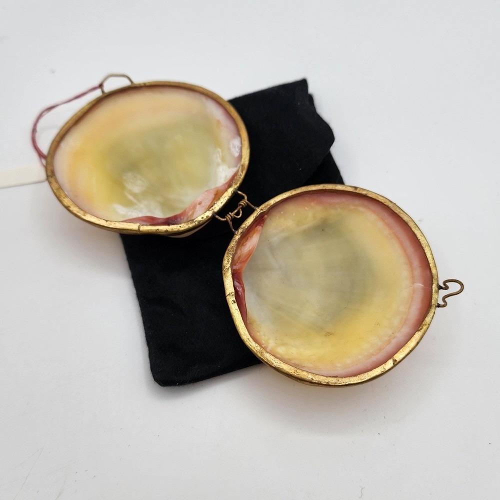 Vintage Natural Clam Shell Coin Purse Gold Tone Hinge Small